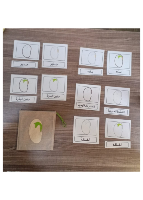 الكروت الثلاثيه للبذره